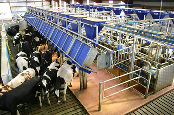 Milking Parlour Equipment